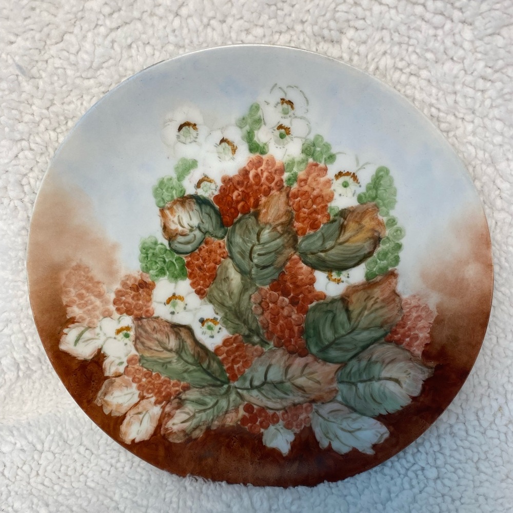 Vintage Mid-20th Century Hand-painted IT Uno Plate - Bavaria, Germany